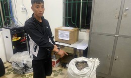 Bắt giữ đối tượng vận chuyển vảy tê tê cùng ma túy