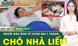 Bản tin Y tế 31/7: Chủ quan khi ch&#243; nh&#224; liếm v&#224;o vết thương, người đ&#224;n &#244;ng tử vong thương t&#226;m