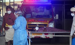 Ấn Độ ghi nhận 2 ca nhiễm virus Nipah mới