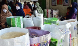 Giá gạo Thái Lan giảm do đồng baht mạnh lên