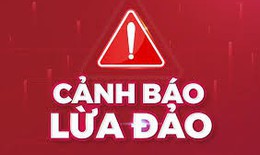 Gã đàn ông lừa hơn nửa tỷ đồng bằng kịch bản 'chạy án'