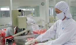 Bộ Y tế quy định mới nhất trình tự đánh giá thực hành tốt sản xuất thuốc, nguyên liệu làm thuốc