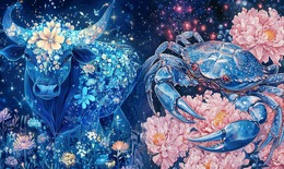 Tử vi tuần mới 12 cung ho&#224;ng đạo từ 7/7 - 13/7/2025: Nh&#226;n M&#227; c&#225;t l&#224;nh, Ma Kết khởi ph&#225;t