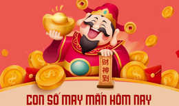 Con số may mắn hôm nay 8/7 - chi tiết số tài lộc 12 con giáp theo năm sinh