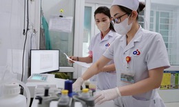 Ký sinh trùng từ thú cưng, nguy cơ tiềm ẩn khiến hàng trăm trẻ mắc bệnh