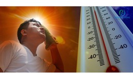Người phụ nữ nguy kịch do l&#224;m đồng khi trời nắng n&#243;ng, ph&#242;ng ngừa say nắng bằng c&#225;ch n&#224;o?