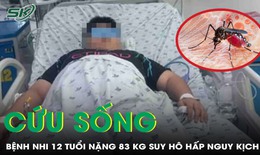 Cứu sống bệnh nhi 12 tuổi béo phì sốc sốt xuất huyết, biến chứng suy hô hấp nặng