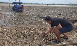 Người d&#226;n H&#224; Tĩnh lo lắng v&#236; h&#224;ng trăm tấn r&#225;c chặn luồng lạch