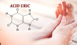 Acid uric cao g&#226;y hại như thế n&#224;o?