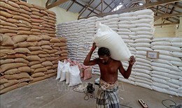 Thị trường nông sản: Nguồn cung kỷ lục, giá gạo thế giới rơi về mức đáy 8 năm