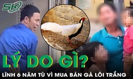 Lý do gì khiến người đàn ông lĩnh án 6 năm tù vì mua bán gà lôi trắng?