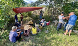 Bắt giữ hơn chục &#39;con bạc&#39; ở L&#226;m Đồng đang s&#225;t phạt... trong rừng