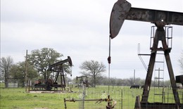 Giá dầu giảm xuống mức thấp nhất trong hơn 2 tháng
