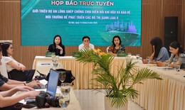 Lồng ghép chống chịu biến đổi khí hậu và bảo vệ môi trường để phát triển đô thị xanh