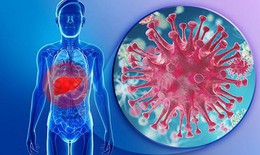 Vi&#234;m gan B thể kh&#244;ng hoạt động cần lưu &#253; g&#236;?