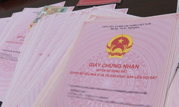 Vi phạm quy định n&#224;y li&#234;n quan đến sổ đỏ c&#243; thể bị phạt l&#234;n đến 100 triệu đồng