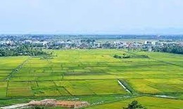 Trường hợp bị cưỡng chế thi hành quyết định thu hồi đất theo quy định mới
