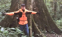 T&#236;m thấy thi thể nam du kh&#225;ch mất t&#237;ch ở Vườn Quốc gia C&#250;c Phương