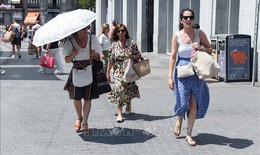 Tr&#234;n 1.100 ca tử vong do nắng n&#243;ng ở T&#226;y Ban Nha