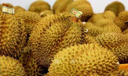 Xuất khẩu rau quả lấy lại đà tăng trưởng