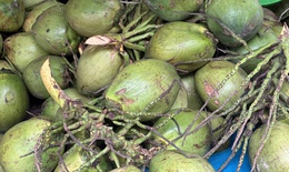 3 cách đơn giản để giảm axit uric tại nhà