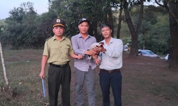 Ph&#225;t hiện g&#224; l&#244;i trắng qu&#253; hiếm bay v&#224;o qu&#225;n nước, người đ&#224;n &#244;ng giao nộp cho phường