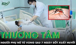 Đồng Nai ghi nhận th&#234;m 2 ca tử vong do sốt xuất huyết