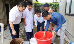 Dịch sốt xuất huyết tăng, Hà Tĩnh khẩn cấp phòng chống
