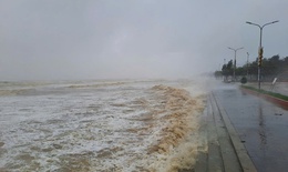 Những điểm đặc biệt dị thường ở cơn bão số 5 báo hiệu mùa mưa bão cực kỳ phức tạp