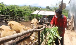 Ph&#225;t triển v&#249;ng d&#226;n tộc thiểu số v&#224; miền n&#250;i, kh&#244;ng để ai bị bỏ lại ph&#237;a sau