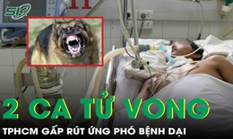 Thêm 2 ca tử vong vì bệnh dại, TPHCM gấp rút ứng phó