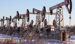 Chiều 26/8, giá dầu rời khỏi mức cao nhất 2 tuần