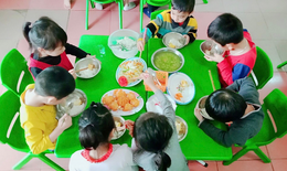 Các nhóm chất dinh dưỡng cần thiết cho trẻ mầm non