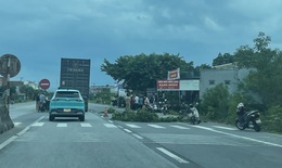 Hai mẹ con thương vong khi lưu th&#244;ng tr&#234;n QL 1A