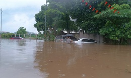 Mưa lũ tiếp nối d&#224;i ng&#224;y, triển khai c&#244;ng t&#225;c hộ đ&#234; đảm bảo an to&#224;n cho H&#224; Nội