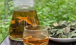 6 loại trà thảo mộc tốt cho người bệnh gan nhiễm mỡ không do rượu