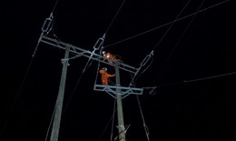 Xuy&#234;n đ&#234;m kh&#244;i phục điện cho người d&#226;n ở Nghệ An sau b&#227;o số 5