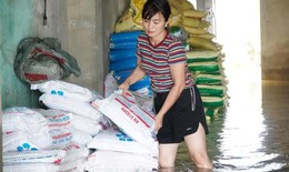 Ngậm ng&#249;i nh&#236;n 15 tấn ph&#226;n b&#243;n ch&#236;m trong nước lũ, người d&#226;n b&#236; b&#245;m cứu vớt t&#224;i sản