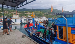 Du kh&#225;ch than phiền, kh&#243; chịu v&#236; chen ch&#250;c với t&#224;u c&#225; tại vịnh Vĩnh Hy