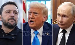 Tổng thống Trump ch&#237;nh thức l&#234;n tiếng về khả năng diễn ra hội nghị thượng đỉnh Nga-Ukraine