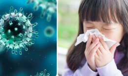 Vì sao cúm dễ có nguy cơ tăng khi trẻ quay lại trường học?