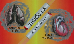 Ảnh hưởng của thuốc l&#225; đến tim mạch v&#224; tăng huyết &#225;p thế n&#224;o?
