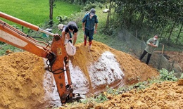 Dịch tả lợn ch&#226;u Phi ho&#224;nh h&#224;nh, tỷ lệ ti&#234;m ph&#242;ng vaccine thấp