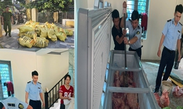 Mua hơn 1,6 tấn lợn nhiễm dịch tả lợn ch&#226;u Phi để b&#225;n