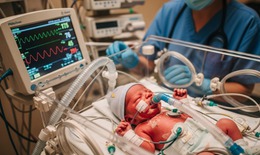 Báo động sốc nhiễm khuẩn ở trẻ