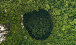 Khu rừng nguyên sinh đầy bí ẩn dưới lòng đất