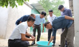 Hà Tĩnh ghi nhận thêm ổ dịch sốt xuất huyết