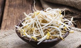 5 lợi &#237;ch sức khỏe tuyệt vời của gi&#225; đỗ &#237;t người biết