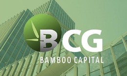Thành viên độc lập Hội đồng quản trị 'tháo chạy' khỏi Bamboo Capital
