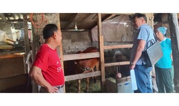 Bắc Ninh đẩy mạnh x&#226;y dựng n&#244;ng th&#244;n xanh, sạch, đẹp v&#224; giảm ngh&#232;o bền vững